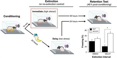 Unrelenting Fear Under Stress: Neural Circuits and Mechanisms for the Immediate Extinction Deficit